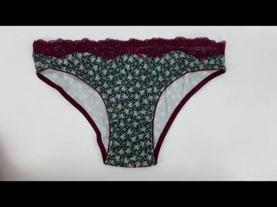 Frauen Spitze OEM Sexy Tangas Unterwäsche Unterhosen Niedliche Höschen